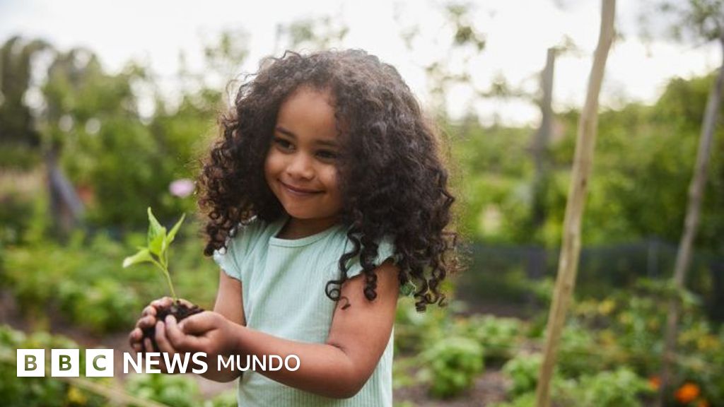 El contacto con la naturaleza y la tierra: beneficios clave para el sistema inmunológico