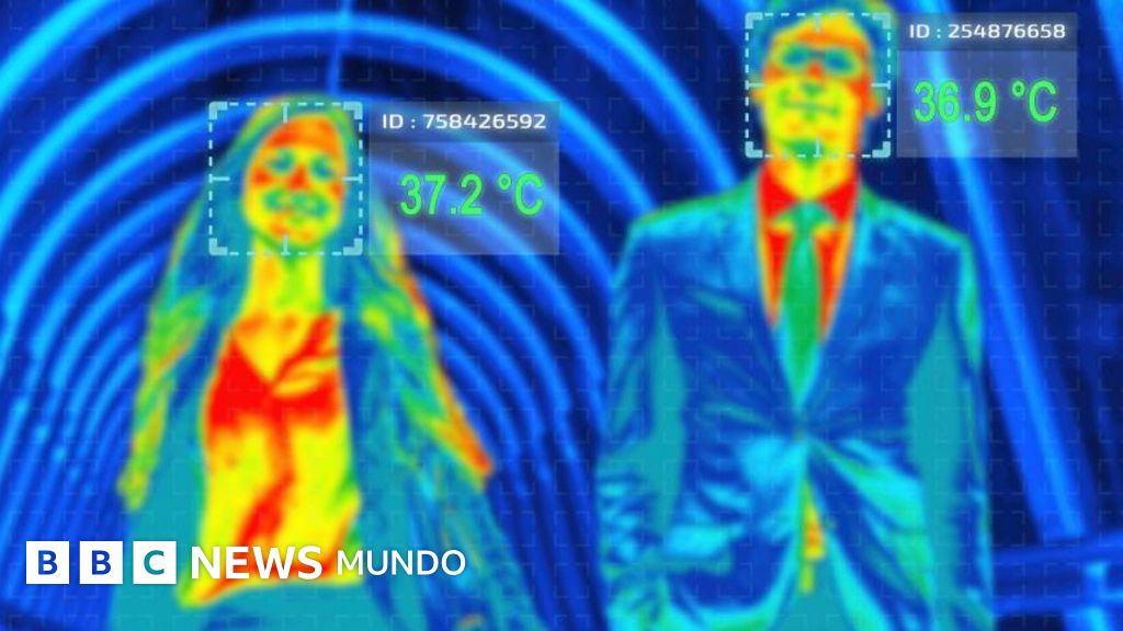 Sangre caliente vs. sangre fría: la ciencia detrás de la regulación térmica animal