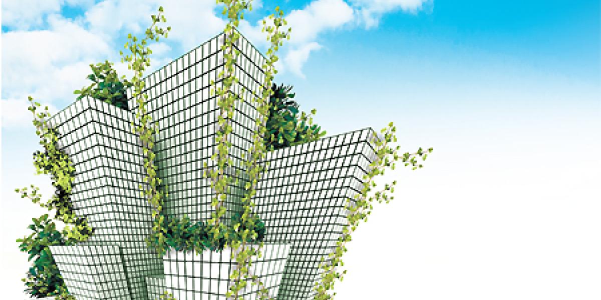 Construcción sustentable en México: el mercado de materiales ecológicos apunta a los 1,000 mdd