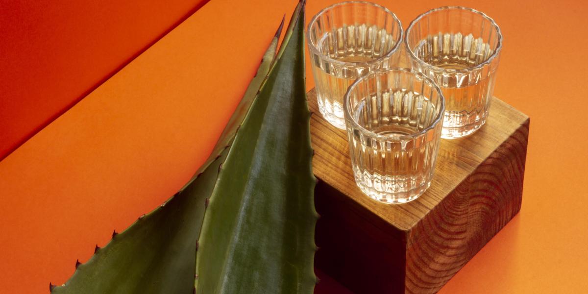 Armenta impulsa la modernización tecnológica de la industria mezcalera en Puebla