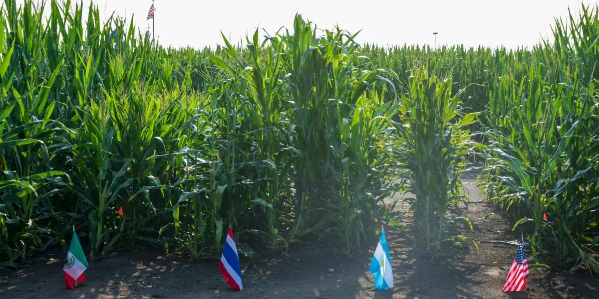 Bayer impulsa la agricultura regenerativa en México: Innovación tecnológica para el campo