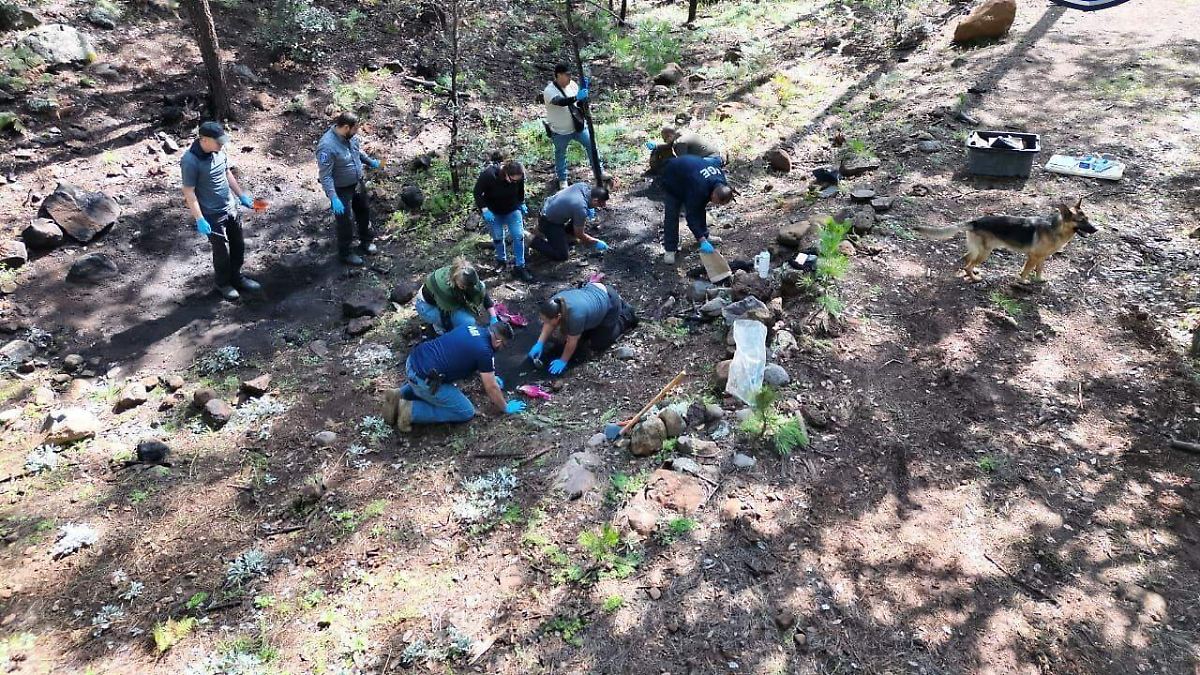 Finaliza la etapa inicial de búsqueda en la Laguna El Tres, Madera