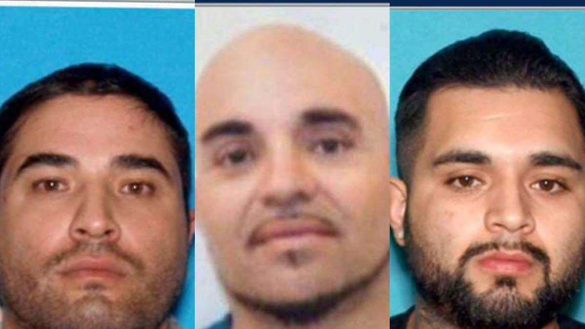 Capturan en Jalisco a tres ciudadanos estadounidenses acusados de criptofraude en California