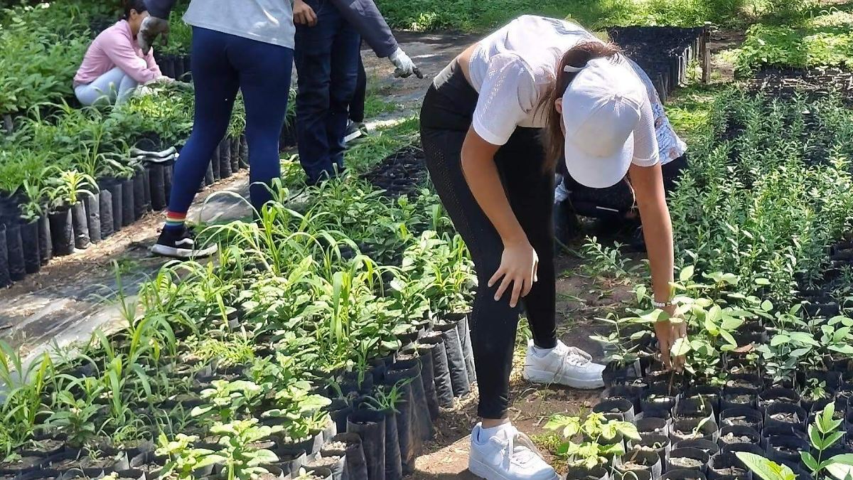 Extra busca transformar a Guadalajara en la metrópoli con mayor cobertura arbórea