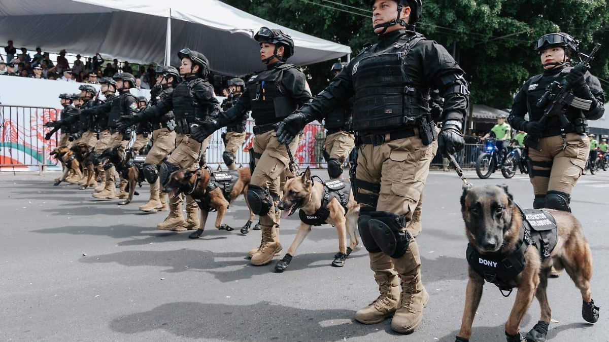 Familias tapatías abarrotan la Avenida Vallarta durante el desfile cívico-militar