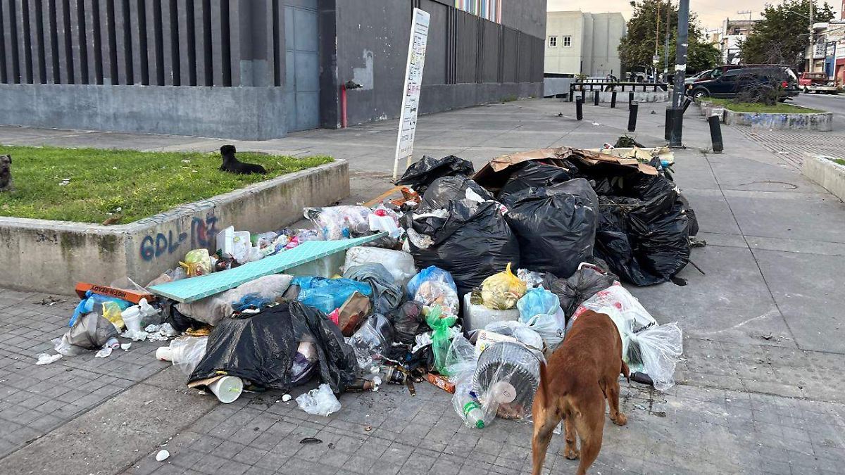 Denuncian acumulación crítica de residuos en la avenida 5 de Febrero en Guadalajara