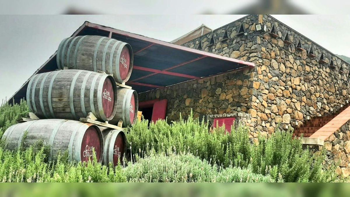 Cava Chalupo: El viñedo jalisciense que fusiona vitivinicultura y el paisaje del Lago de Chapala