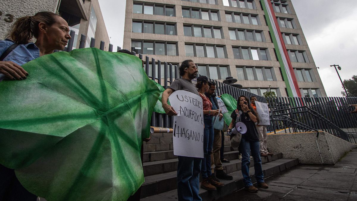 Vecinas de Verónica Anzúres en alerta ante resolución judicial sobre obra Be Grand Polanco