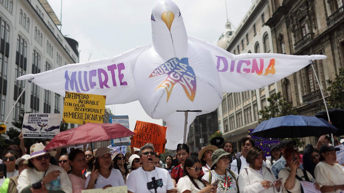 Reino Unido rechaza la legalización de la muerte asistida: un panorama global
