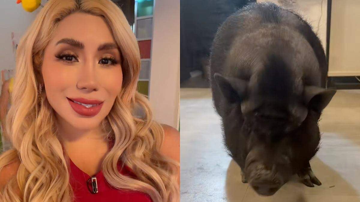 Albóndiga: la historia de la cerdita que acompaña a Daniela Bebeshita