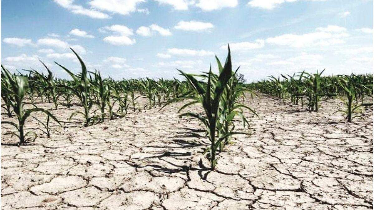 Crisis por sequía en Oaxaca: 355 municipios en riesgo y campesinas exigen declaratoria de emergencia