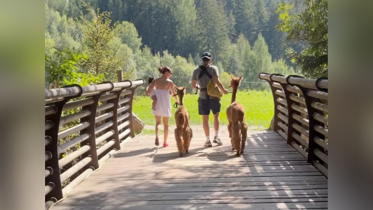 Millie Bobby Brown y Jake Bongiovi amplían su familia mediante una nueva adopción