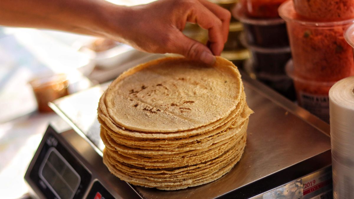 Precio del maíz blanco para tortilla se mantendrá en 6 mil pesos hasta 2027