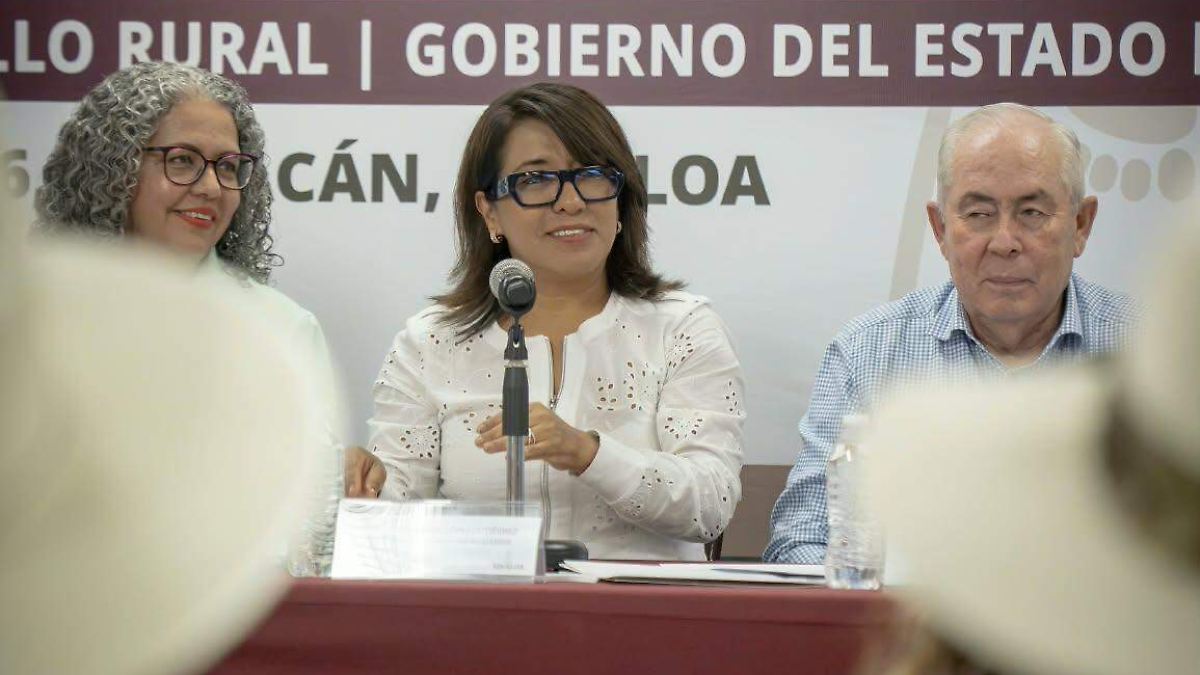 Impulsan Plan de Desarrollo para reactivar la producción y el comercio en Sinaloa