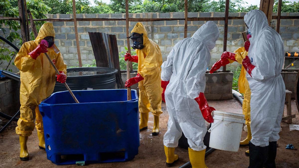 Nigeria desmantela laboratorio de metanfetamina con vínculos a cárteles mexicanos