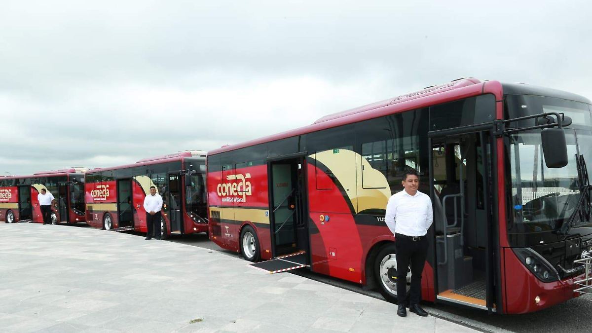 El futuro del Metrobús en la zona sur de Tamaulipas: ¿qué falta para su implementación?