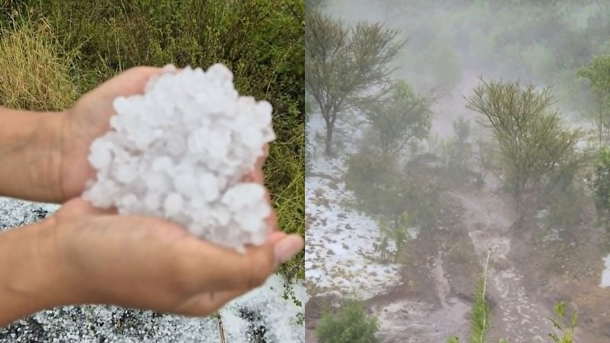 Sorprende granizada en Miquihuana: el paisaje de Tamaulipas se tiñe de blanco