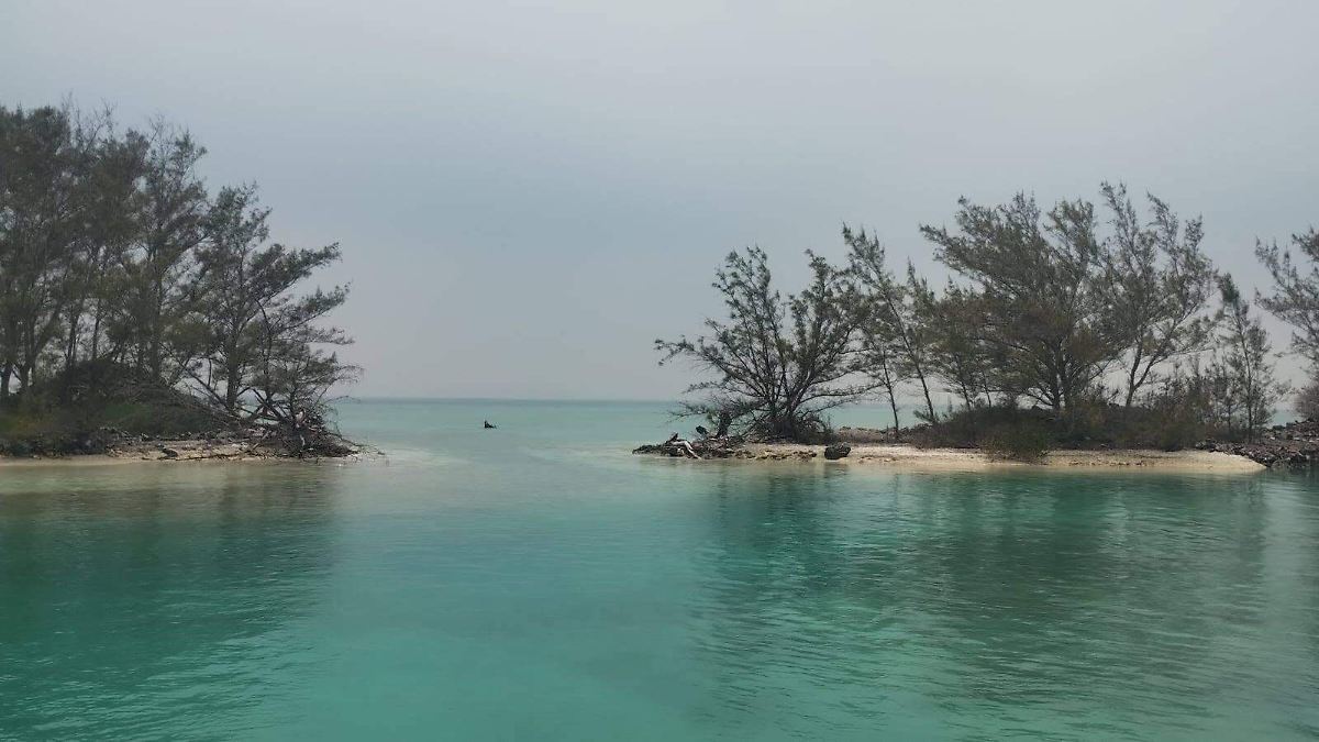 La Isla de Lobos bajo amenaza: La UAT busca frenar la erosión costera