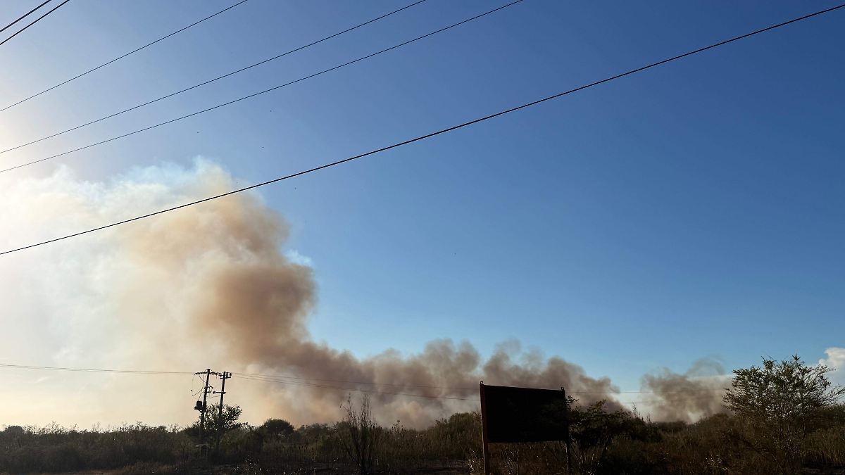 Incendio forestal moviliza a cuerpos de emergencia en Pueblo Viejo, Veracruz