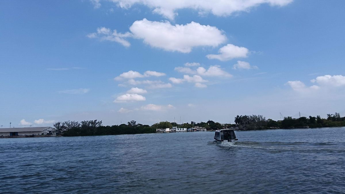 Pronostican lluvias en el sur de Tamaulipas y norte de Veracruz por onda tropical 38