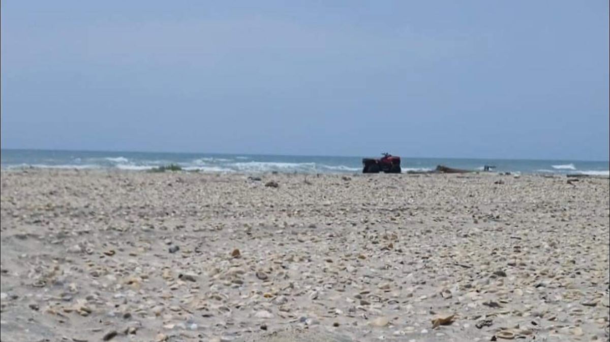 Denuncian presunto sacrificio de animales en playa Bagdad, Tamaulipas