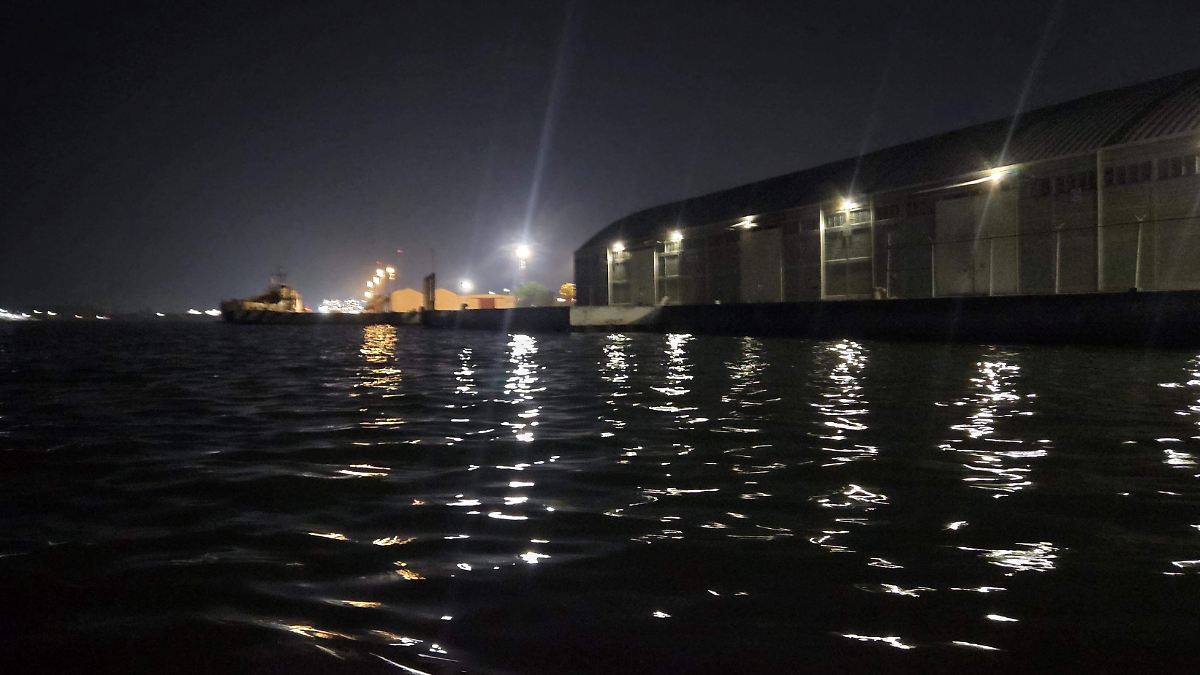 Avistamiento inusual: toninas sorprenden a pescadores en el río Pánuco