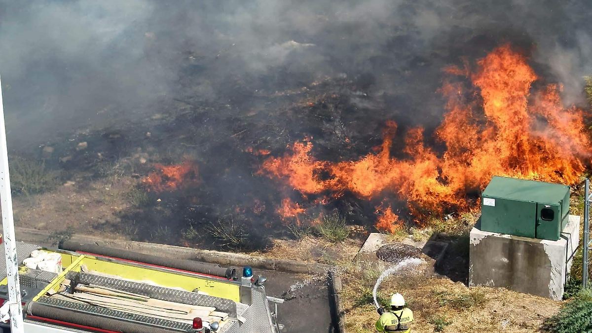 Tormentas eléctricas, la causa detrás de los incendios forestales en Tamaulipas