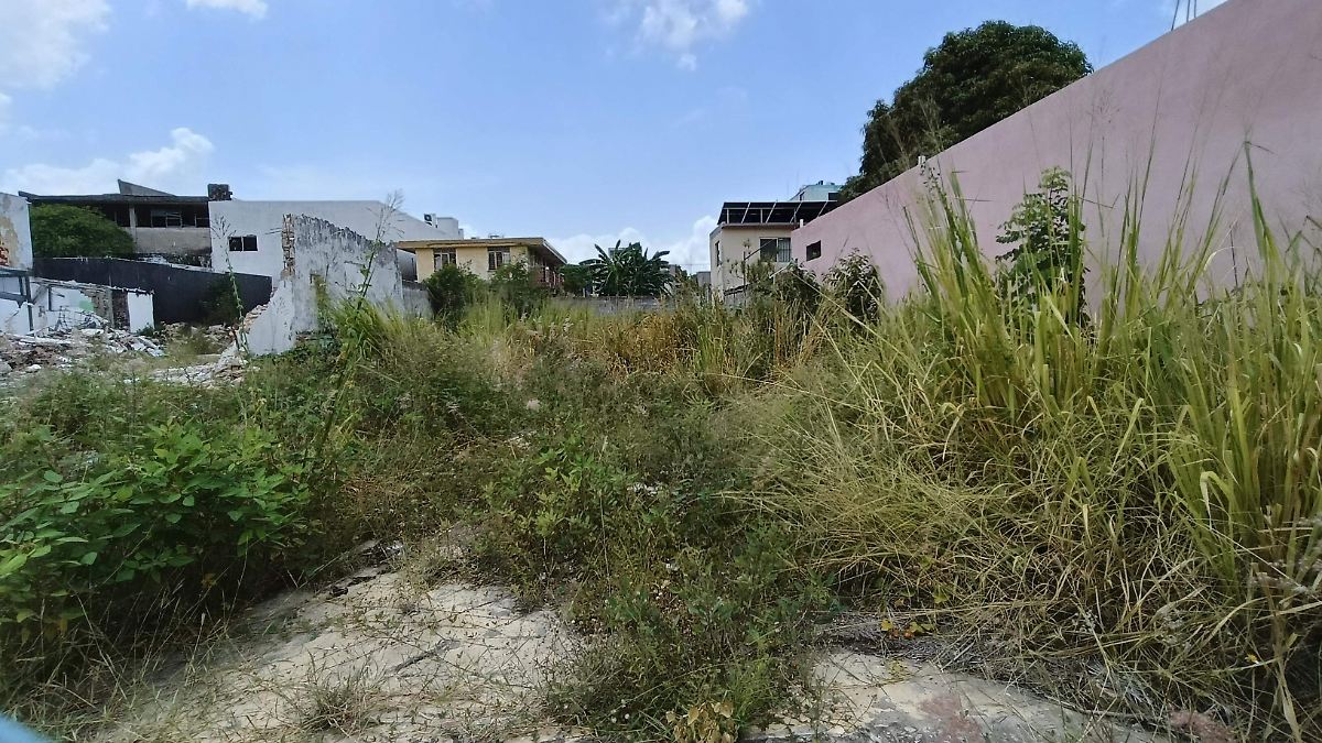 Predios baldíos en el sur de Tamaulipas: un desafío persistente para la salud pública