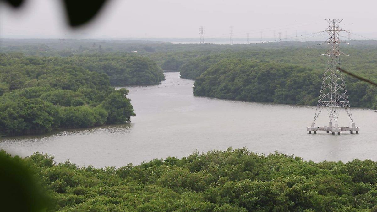 Crisis hídrica en Altamira: tres empresas cancelan inversiones mientras la IP apuesta por el proyecto Génesis