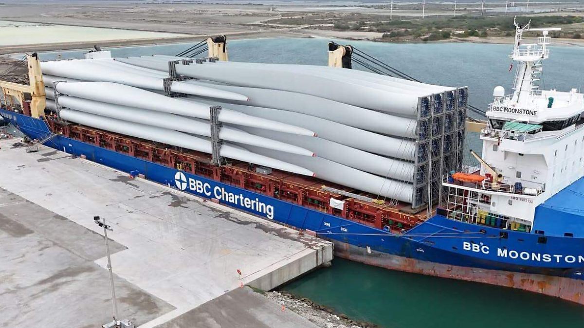 Puerto de Altamira registra repunte operativo impulsado por el Campo Trión