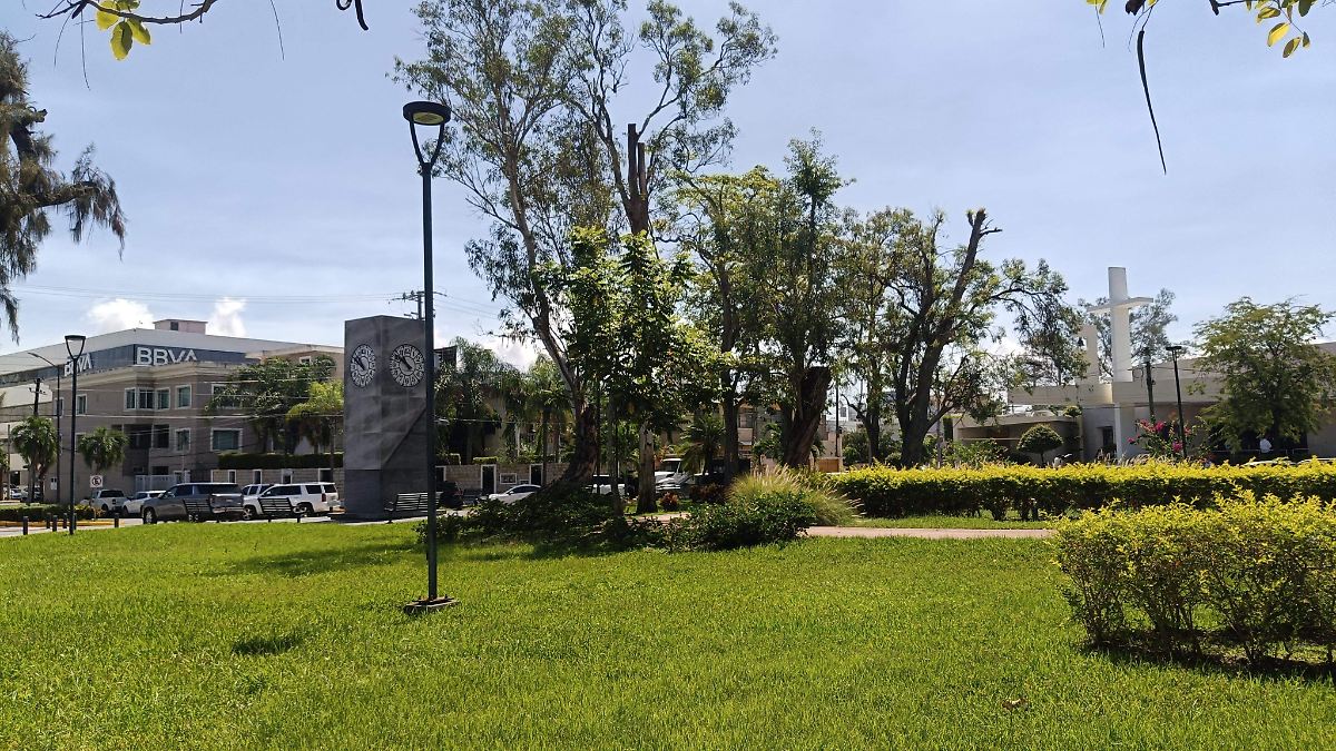 Investigan impacto de la polilla brasileña en la vegetación del sur de Tamaulipas
