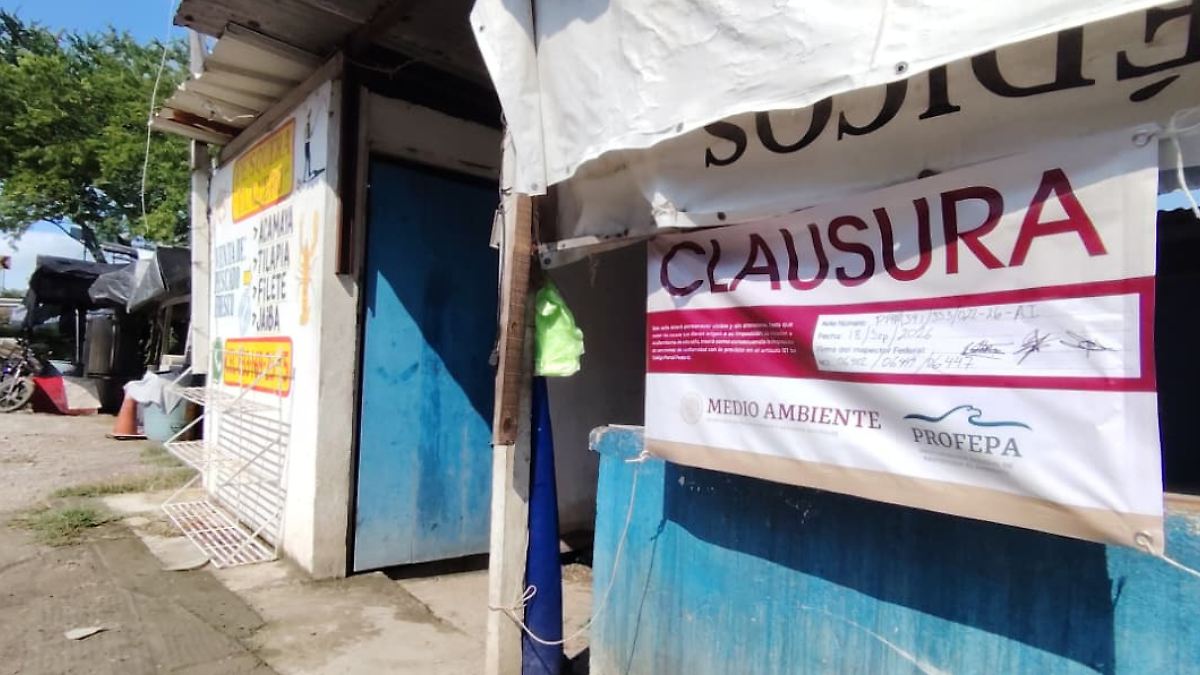 Clausuran establecimiento en Tampico por venta ilegal de carne de cocodrilo