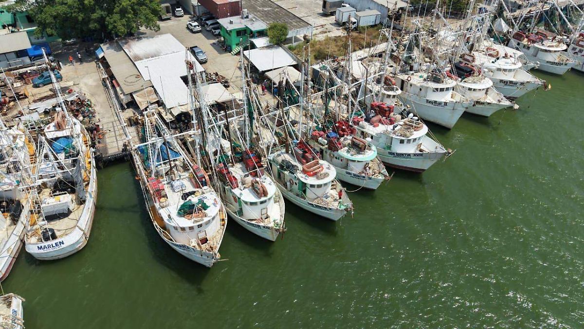 Crisis en la flota camaronera de Tampico: más de la mitad de las embarcaciones permanecen inactivas