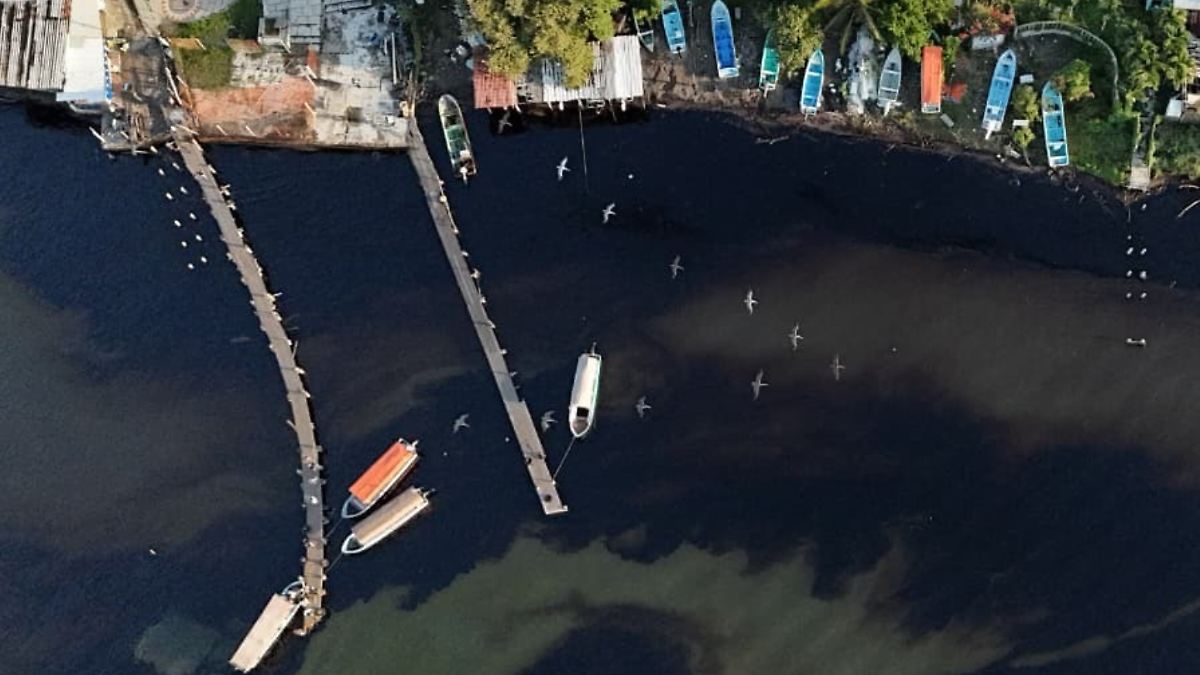 Persiste contaminación en el río Pánuco por derrame de hidrocarburos ante silencio de Pemex