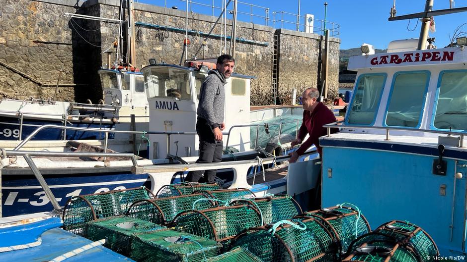 El lucrativo mercado negro de anguilas: una crisis de extinción global