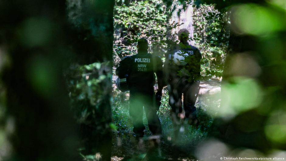Detienen en Alemania a sospechoso de sabotaje contra la red eléctrica nacional
