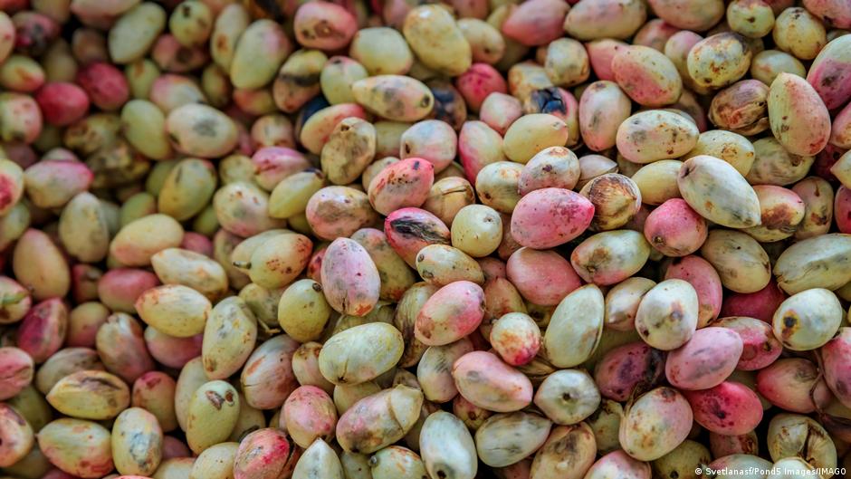 Crisis del pistacho: la sobreexplotación de agua que hunde la tierra en EE. UU. e Irán