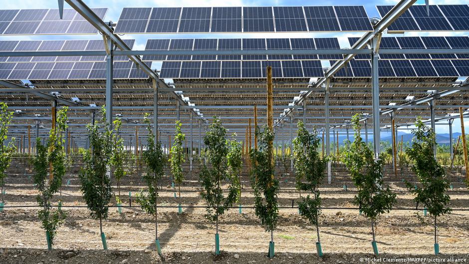 Agrivoltaica: La innovadora alianza entre la agricultura y la energía solar